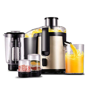 lq ZTT Juicer Machines, Slow Masticating Juicer, Cold Press Juicer Extractor, Centrifugal Juice Extractor for Fruit，Dual Speed and Overheat Overload Protection