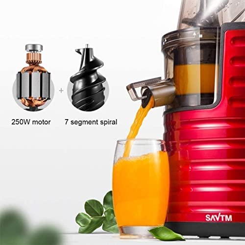 RenminRoad Slow Masticating Juicer Wide Chute Juice Extractor Cold Press Juicer Machine With Quiet Motor/Reverse Function/Juice Jug for Fruits &Vegetables