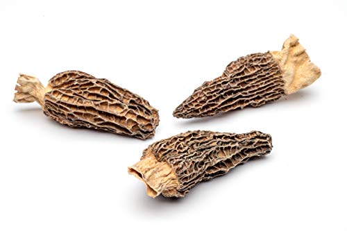 Slofoodgroup Dried Morel Mushrooms (Morchella Conica) Gourmet Morel Mushrooms (.25 lb/ 4 oz Morel Mushrooms)