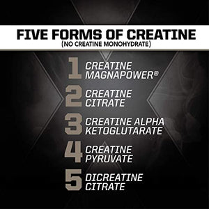 PMD Sports CR5 Professional Creatine Complex (240 Capsules) & PMD Sports Nitro cm Nitric Oxide (90 Capsules)