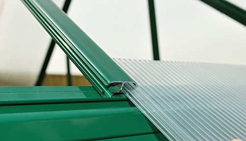 Palram HG5508G-1B Hybrid Hobby Greenhouse, 6' x 8' x 7', Forest Green