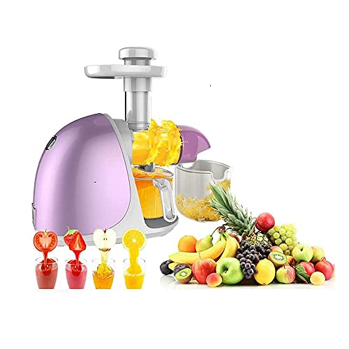 XBYUNDING Juicer Machines,Juicer Masticating Juicer,Large Caliber Juice Machine,Squeezed Sugar Cane Machine,Pomegranate Slag Juice,Fully Automatic Fried Juice Machine