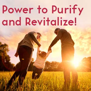 Ultra Berry a Proprietary Blend antioxidant with Acai Acerola Maqui Mangosteen. Potent compounds resveratrol, carotenoids xanthones flavonoids. Super-Concentrated Whole Food.