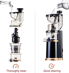 QIN Slow Masticating Extractor Easy to Clean Cold Press Juicer, with Reversal Function,BPA-free Masticating Juicer with Juice Jug
