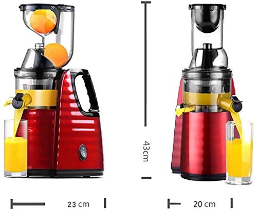 ZOUSHUAIDEDIAN Slow Masticating Juicer,Wide Chute Juice Extractor Cold Press Juicer Machine with Quiet Motor/Reverse Function/Juice Jug for High Nutrient Fruit & Vegetable Juice,Multifunctional Juicer