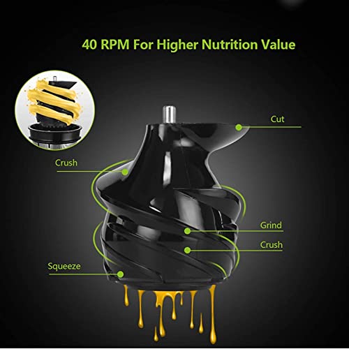 QXWJ 200W 40RPM Stainless Steel Masticating Slow Auger Juicer,220V Fruit and Vegetable Juice Extractor Compact Cold Press Juicer Machine