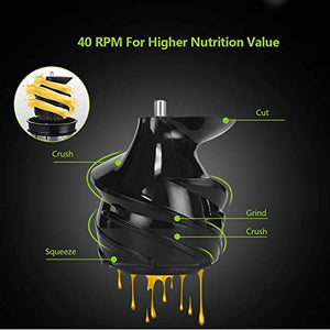 QXWJ 200W 40RPM Stainless Steel Masticating Slow Auger Juicer,220V Fruit and Vegetable Juice Extractor Compact Cold Press Juicer Machine