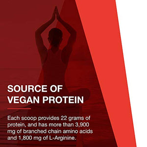 Protocol Plant Protein Complete - Pea, Hemp, and Quinoa Protein Shake - Vanilla - 2 Lbs (907 g)