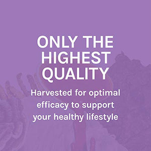 Host Defense, MycoBotanicals Brain, Promotes Concentration, Memory and Cognitive Functioning, Daily Mushroom and Herb Supplement, Vegan, Organic, 60 Capsules (30 Servings)