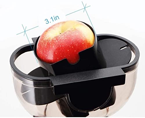 RenminRoad Slow Masticating Juicer Wide Chute Juice Extractor Cold Press Juicer Machine With Quiet Motor/Reverse Function/Juice Jug for Fruits &Vegetables