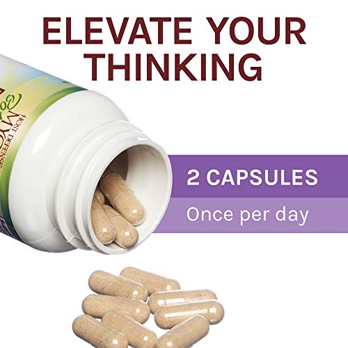 Host Defense, MycoBotanicals Brain, Promotes Concentration, Memory and Cognitive Functioning, Daily Mushroom and Herb Supplement, Vegan, Organic, 60 Capsules (30 Servings)
