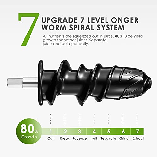 Slow Masticating Juicer, Cold Press Juicer Machine Easy to Clean, Higher Juicer Yield and Drier Pulp, Juice Extractor with Quiet Motor and Reverse Function, BPA-Free, with Recipes