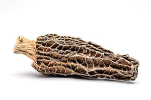 Slofoodgroup Dried Morel Mushrooms (Morchella Conica) Gourmet Morel Mushrooms ( 2 oz Dried Morels)