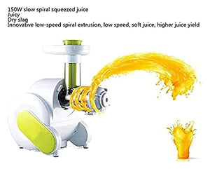 Juicer Machines Juicer Juicer, Whole Slow Juicer-Slow Masticating Juicer for Whole Fruit and Vegetables Cold Press Juicer Machine,Juicer Machines Vegetable and Fruit,Extended Screw Propeller