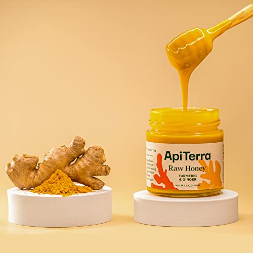 ApiTerra - Raw Honey with Superfoods Variety | Turmeric, Ginger, Lemon and more |11 oz (pack of 3)