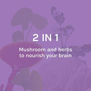 Host Defense, MycoBotanicals Brain, Promotes Concentration, Memory and Cognitive Functioning, Daily Mushroom and Herb Supplement, Vegan, Organic, 60 Capsules (30 Servings)