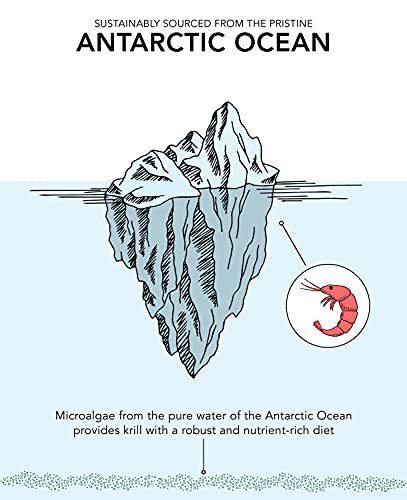 Antarctic Krill Oil 1000mg (Double Strength) with Omega-3s EPA & DHA + Astaxanthin | IKOS 5-Star Certified & Non-GMO Verified (60 Softgels)