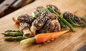 Fresh Frozen Morel Mushrooms - Northwest Wild Foods - Whole Raw Handpicked Foraged Natural Mushrooms for Gourmet Cooking - from Pacific Northwest (4 lb)