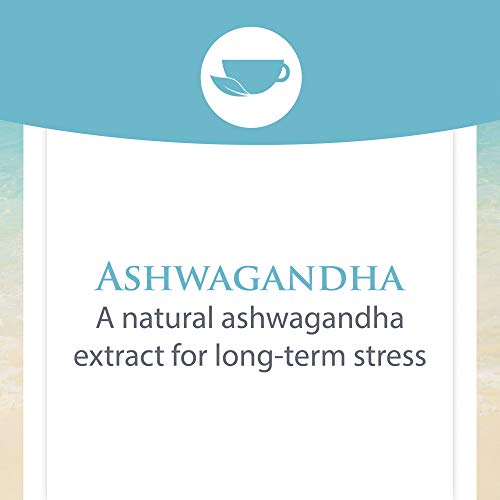 Stress-Relax Ashwagandha Sensoril by Natural Factors, 60 vegetarian capsules (60 servings)