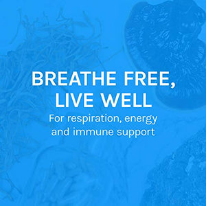 Host Defense, Breathe, 30 Capsules, Respiratory Support, Mushroom Supplement with Cordyceps, Reishi and Chaga, Vegan, Organic, 15 Servings