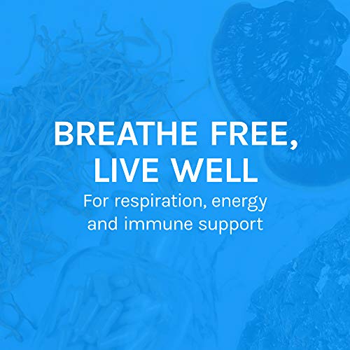 Host Defense, Breathe, 60 Capsules, Respiratory Support, Mushroom Supplement with Cordyceps, Reishi and Chaga, Vegan, Organic, 30 Servings