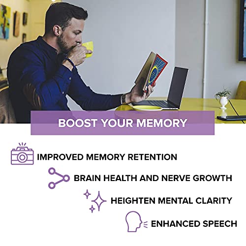 metaMEMORY by Nuoptimal - Premium Nootropics Brain Booster Supplement for Memory Support & Brain Health - 8 Cognitive Enhancing Ingredients : Lions Mane Mushroom, Alpha GPC, Ginkgo Biloba, & Huperzine