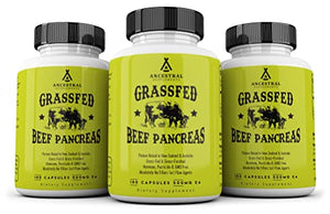 Ancestral Supplements Grass Fed Pancreas — Digestive, Proteolytic Enzymes (Including Trypsin) and Pancreatic Support (180 Capsules)