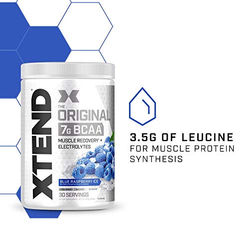 XTEND Original BCAA Powder Blue Raspberry Ice - Sugar Free Post Workout Muscle Recovery Drink with Amino Acids - 7g BCAAs for Men & Women - 30 Servings