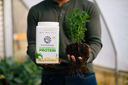 Sunwarrior Clean Greens & Protein Powder Vegan Superfood - No Added Sugar, Non-GMO, Soy Free, Gluten Free, Dairy Free, Keto Friendly, Athletic Greens Plant Based Protein Powder
