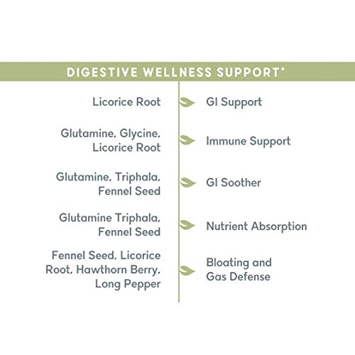 Balanced Vibe Digestive Support for Gas & Bloating - Made with Proprietary Blend of Organic Triphala, Fennel Seed, Licorice Root, Glutamine, Glycine - 90 Caps