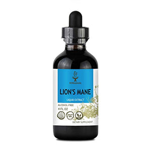 HERBAMAMA Lion's Mane Liquid Extract - Organic Drops Promoting Cognitive Function, Memory, Focus & Clarity - Natural Immune Support Tincture - Non-GMO, Vegan Nutritional Supplement - 4 fl. Oz Bottle