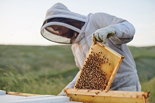 Wildflower Bee Pollen