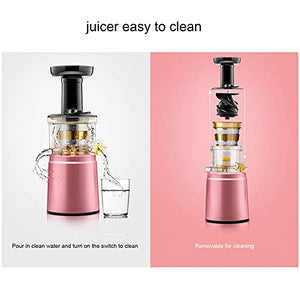 Slow Masticating Juicer Higher Nutrients, Cold Pressed Juicer Machines Vegetable And Fruit, BPA-Free Components, Easy To Clean