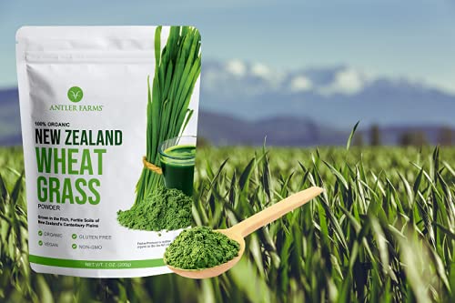 Antler Farms - 100% Pure New Zealand Organic Wheatgrass Powder, 40 Servings, 200g - Raw, Vegan, Gluten Free, Nutrient Rich, High Chlorophyll Wheat Grass, Detox, Essential Amino Acids, Minerals