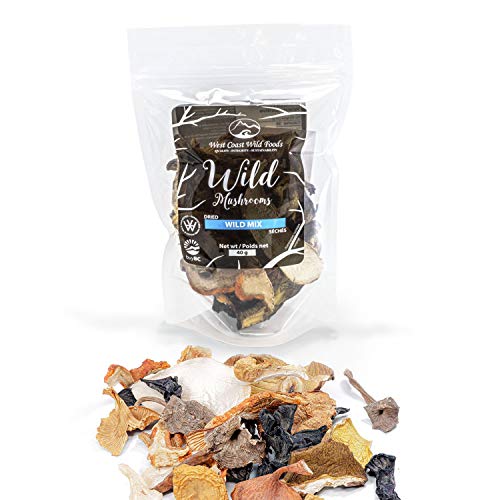 West Coast Wild Foods | Dried Wild Mushrooms (Mix, 1.41oz - 40g)