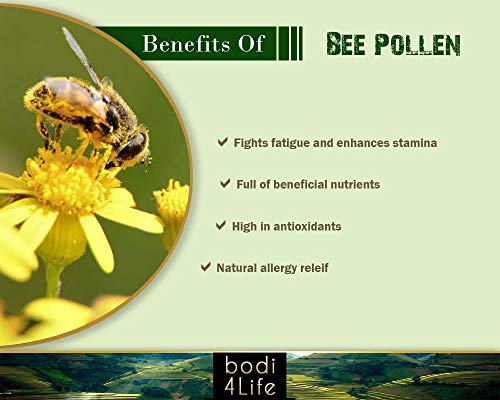 bodi : Bee Pollen Powder - 100% Pure Natural Chemical Free (4 8 16 32 oz) (4 oz)