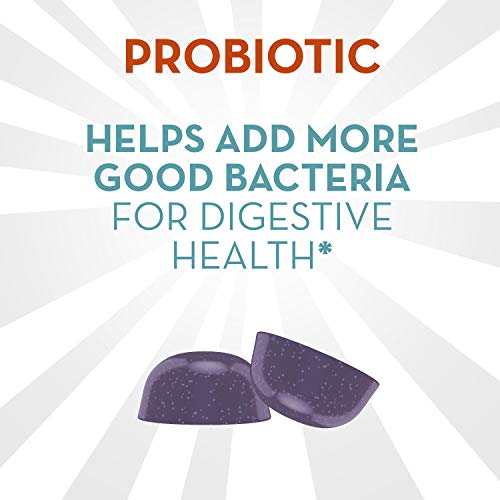 Align Probiotic, Digestive De-stress, Probiotic with Ashwagandha, which Helps with a healthy response to stress, Berry Flavor, 50 Gummies