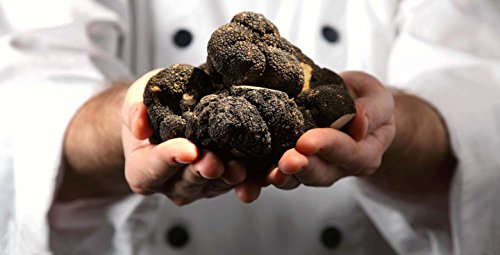 Spores Black Truffle Mushrooms Seeds Dried Mycelium Spawn for Planting Non GMO 100 Seeds