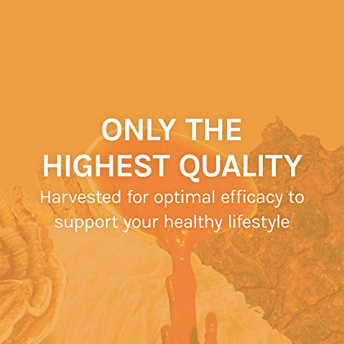 Host Defense, Chaga Capsules, Antioxidant and DNA Support, Daily Mushroom Supplement, Vegan, Organic, 120 Capsules (60 Servings)
