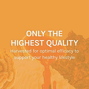 Host Defense, Chaga Capsules, Antioxidant and DNA Support, Daily Mushroom Supplement, Vegan, Organic, 120 Capsules (60 Servings)