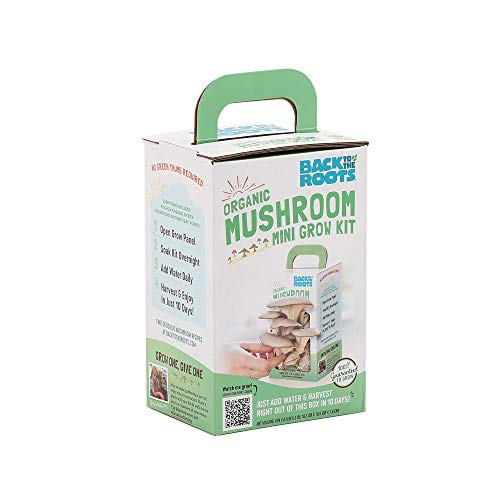 Back to the Roots Organic Mini Mushroom Grow Kit, Harvest Gourmet Oyster Mushrooms In 10 days, Top Gardening Gift, Holiday Gift, & Unique Gift