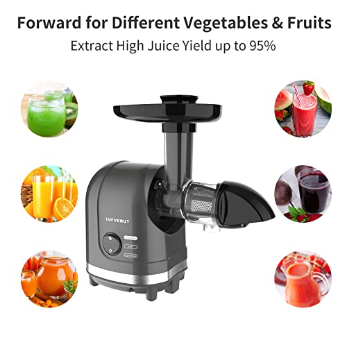Slow Masticating Juicer Easy to Clean, Cold Press juicer Extractor with 95% Juice Yield, Quiet Motor, Reverse Function Anti-Clogging, 7 Segment Spiral for Vegetable and Fruit