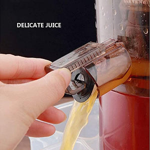 WXLBHD Juicer Machines, Slow Juicer Masticating Juicer, Cold Press Juicer Extractor Easy to Clean, Quiet Motor, Reverse Function, for Fruits and Vegtables