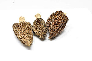 Slofoodgroup Dried Morel Mushrooms (Morchella Conica) Gourmet Morel Mushrooms (1oz morels)