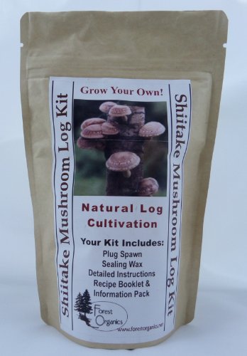 Forest Organics Shiitake Mushroom Growing Log Kit Cancer Fighting Grows For Years!