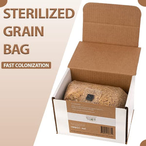 Sterilized Grain Bag with Injection Port - Fast Colonization, Robust Mycelium Growth - Grow Your Own Edible Mushroom at Home - 3(lbs)