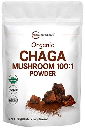 Sustainably Maine Grown, Wild Harvest Organic Chaga Mushroom Extract 100:1 Powder, Chaga Tea, 6 Ounce, for Immune System and Energy, Superfood for Beverage and Smoothie, Vegan Friendly