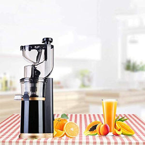 QIN Slow Masticating Extractor Easy to Clean Cold Press Juicer, with Reversal Function,BPA-free Masticating Juicer with Juice Jug