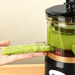 Slow Masticating Juicer Vegetable And Fruit, Cold Press Juicer Machine Easy To Clean, Fruit Juicer 98% Juice Yield & Pure Juice, Quiet Motor