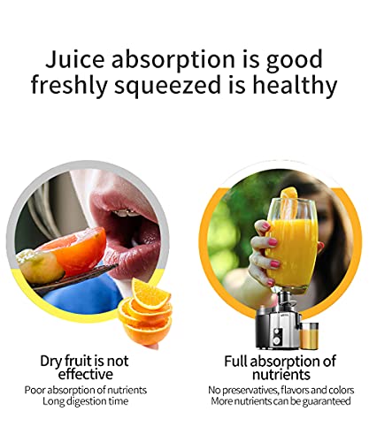 URORU Juicer Machine vegetables and fruits Centrifugal Juicer Easy to Clean Juice Extractor 1000WMotor Anti-drip High Quality